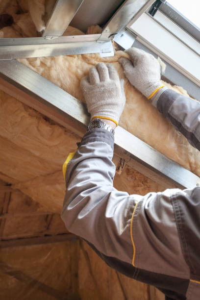 Best Wall Insulation Installation  in Willow Springs, MO